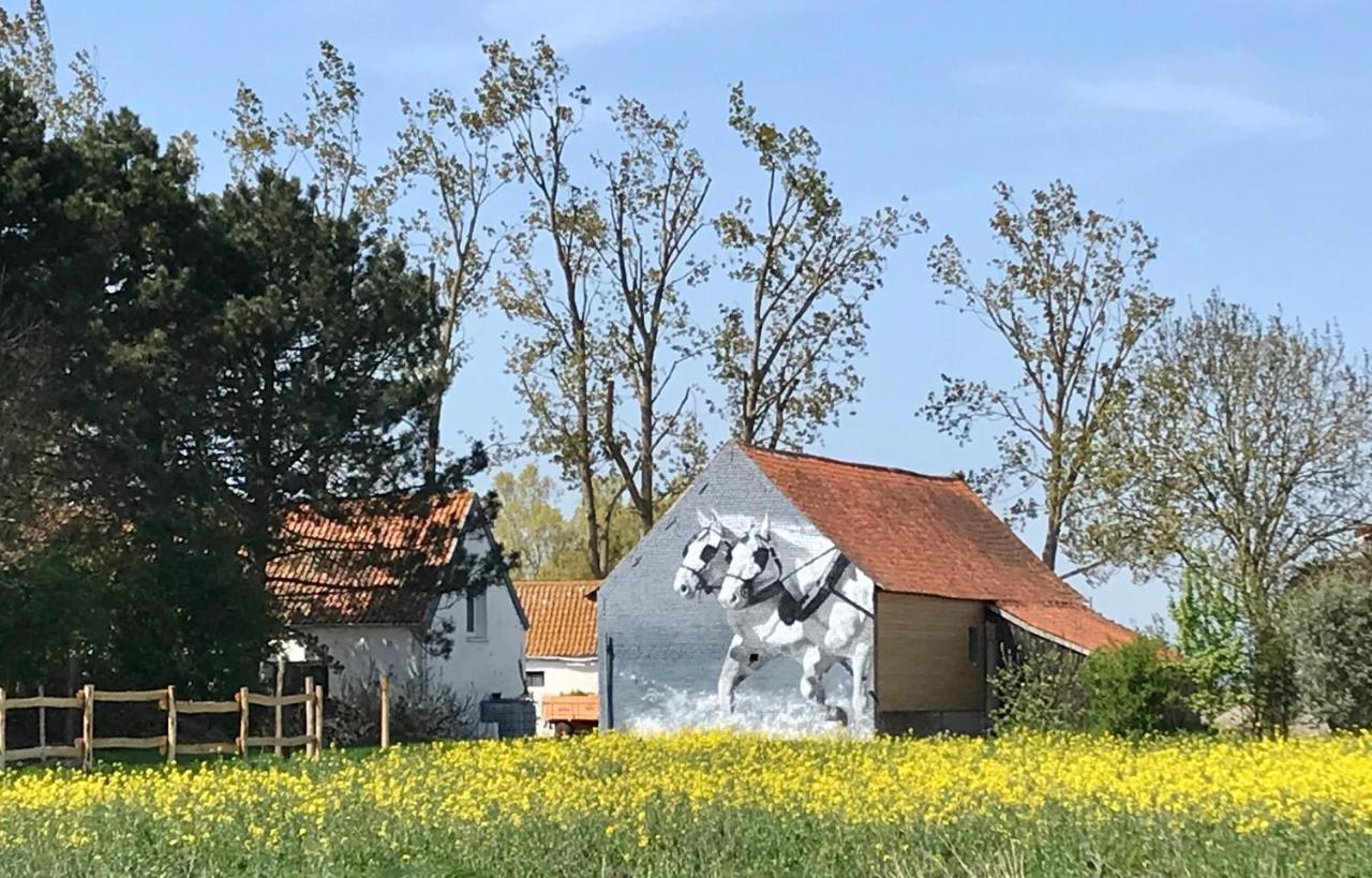 Pensjonat La Ferme Wessiere Oye-Plage Zewnętrze zdjęcie